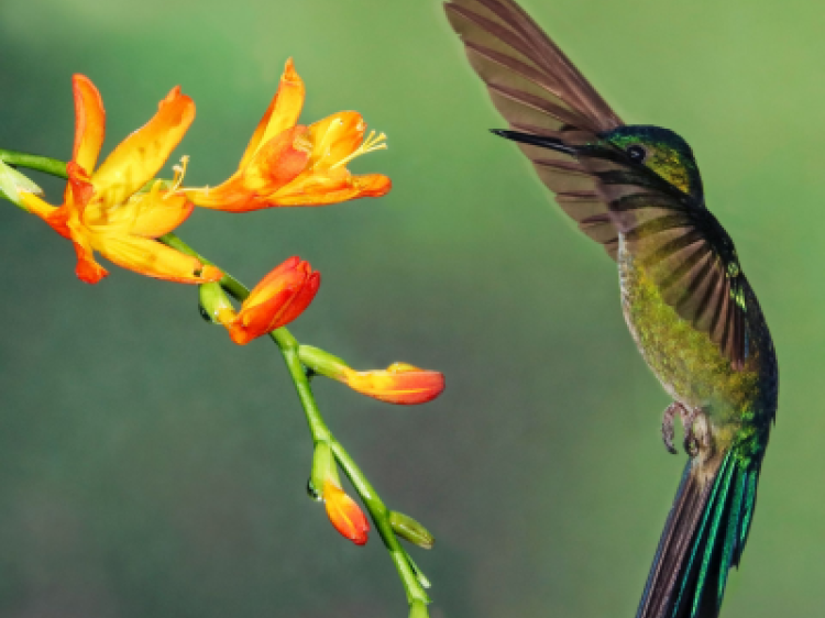 Bf1398411e1173c7fd221871dbd6b5b2 client id602a1f2d398ca870526857d2width400height0