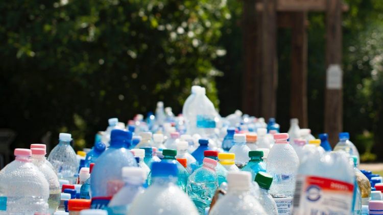 Circular Economy for Plastics