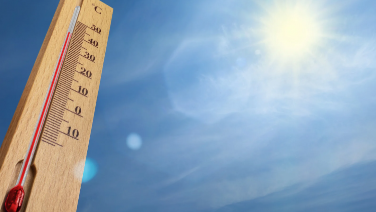 Summer Climate Change blog
