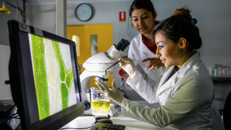 Women In Climate Science Blog