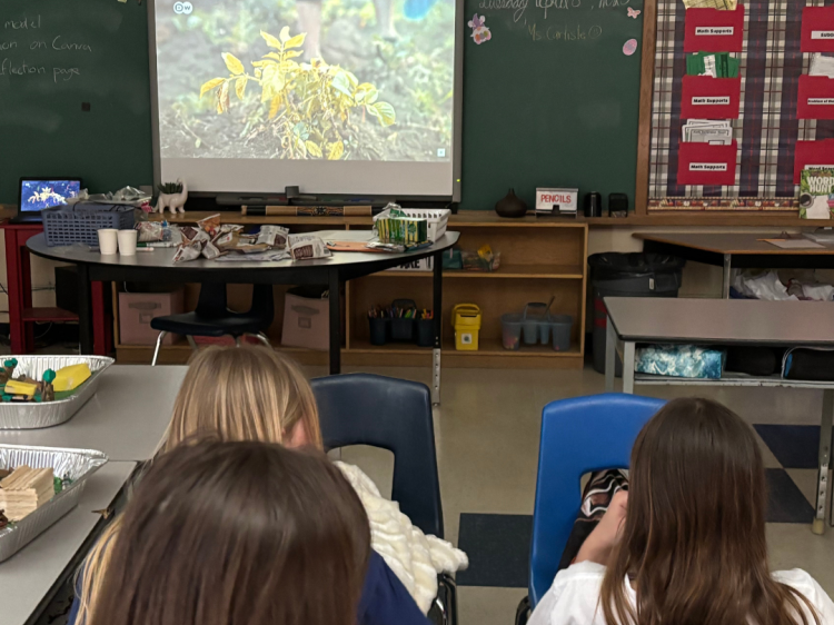 Challenge reel cover image