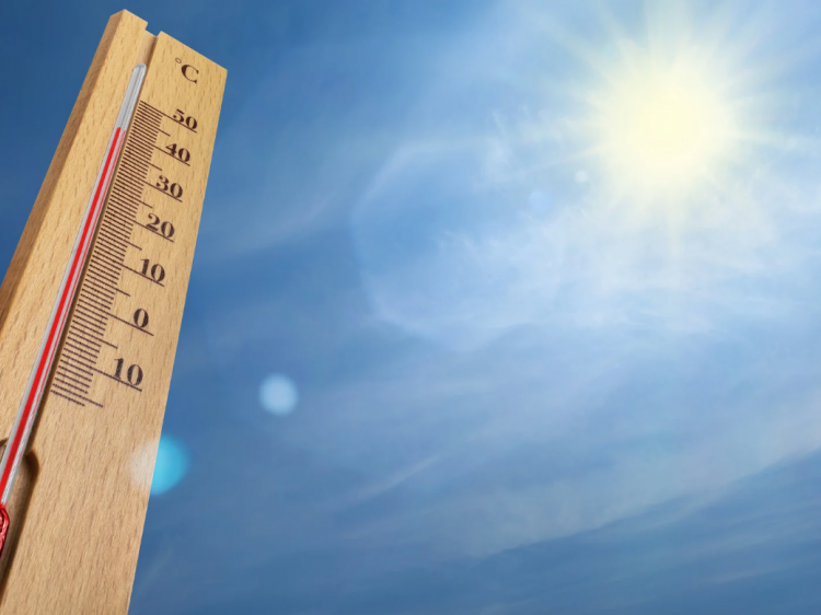 Summer Climate Change blog